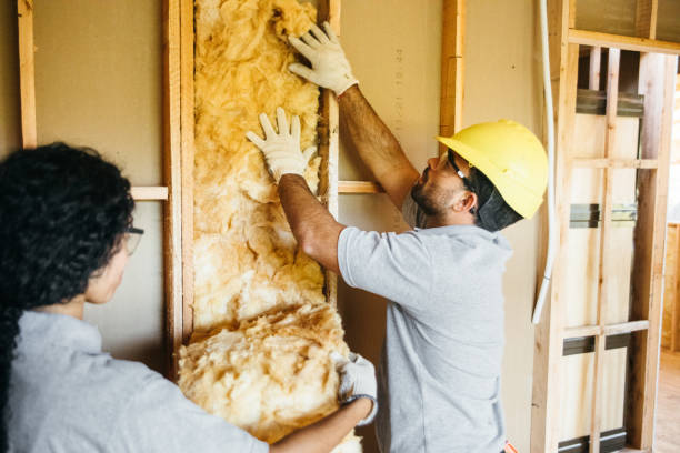 Best Eco-Friendly or Green Insulation Solutions  in The Hills, TX